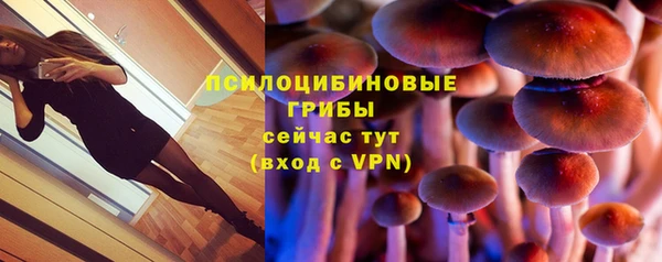 прущие крисы Алексин